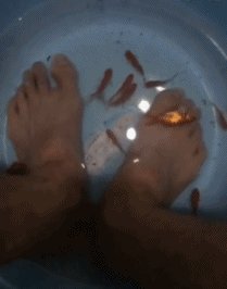 |幽默笑话:刚刚重金求得一副画,大家帮我鉴定一下真假