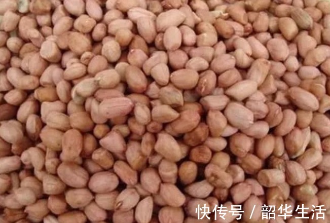 孙安迪|花生的“最佳搭档”找到了，搭配一起煮，营养翻倍，肾气也补满！