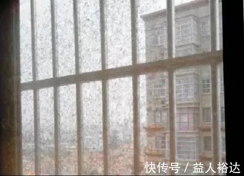 污垢|纱窗灰尘多难清洗？教你两个小妙招，不花一分钱轻轻松松变干净！