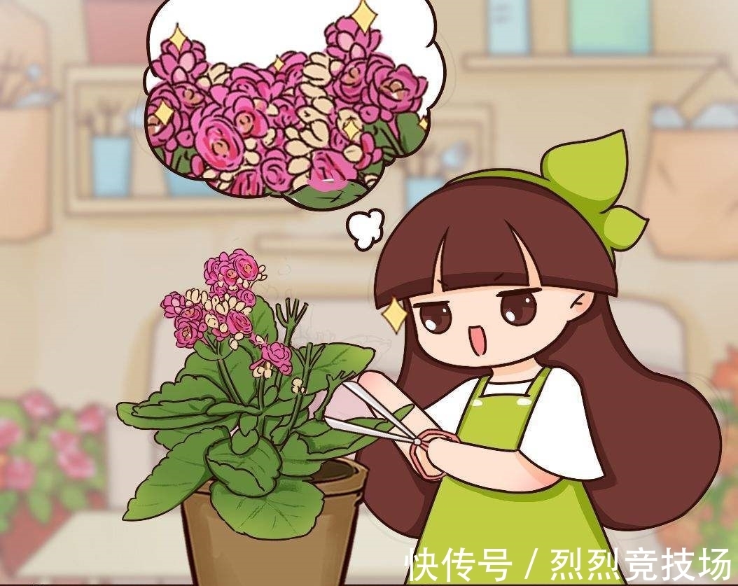 满盆|长寿花如何让它更“长寿”?仅需4步,小花苞就能开满盆