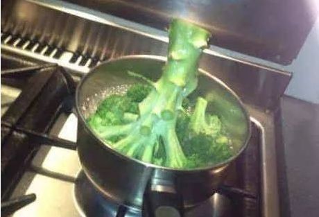 有种做饭叫女友做饭,糊饺子不算啥,看到图4我更爱食堂阿姨