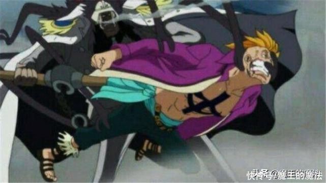 马尔科|海贼王：索隆出面收拾烂摊子，迎战三灾烬，马尔科实力被高估？