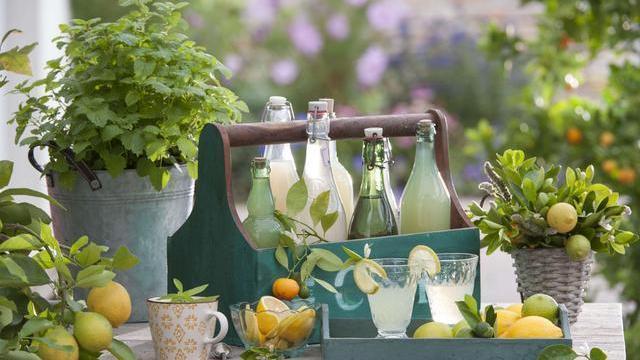 女性朋友|子宫好的女人，晨起上厕所时，通常有3个“共性”，希望你也如此