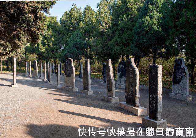 河湟#张籍在《送杨少尹赴凤翔》诗中,将自己的不舍表露的淋漓尽致