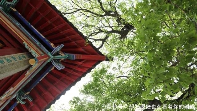 威海仅剩的这两座清式戏楼,惊艳了时光,值得一看