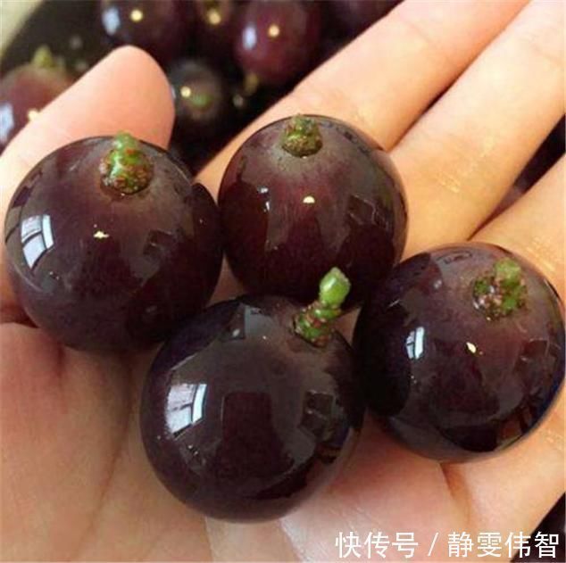 张妈妈|吃葡萄能让胎儿眼睛变大孕妈坚持吃葡萄,孩子出生后宝妈懵了