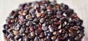 枳椇|想养好肝脏，饭后“一不要”，睡前“二不要”，这些越要越好