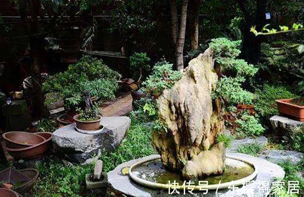 小小树石盆景有啥看头？它的画面与意境足以覆盖“自然山河”！