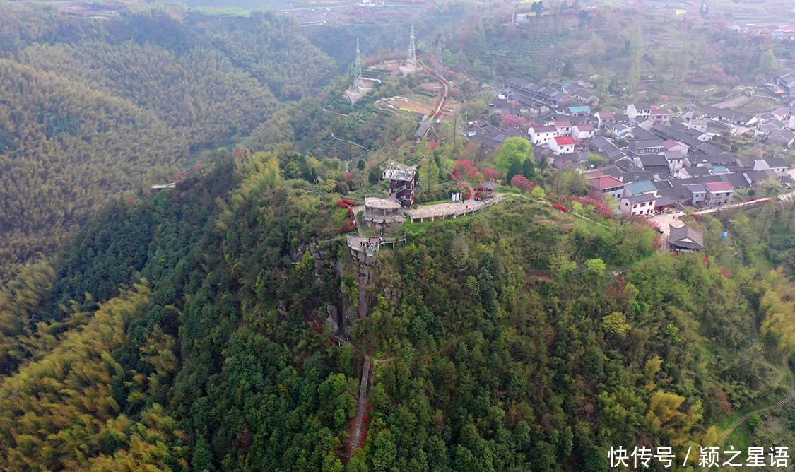 白鹿村、上马村、雅庄村，十里樱花十里尘，经典赏樱路