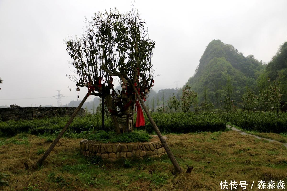 茶马古道上的辰龙关，与沅水相伴，与山海关齐名