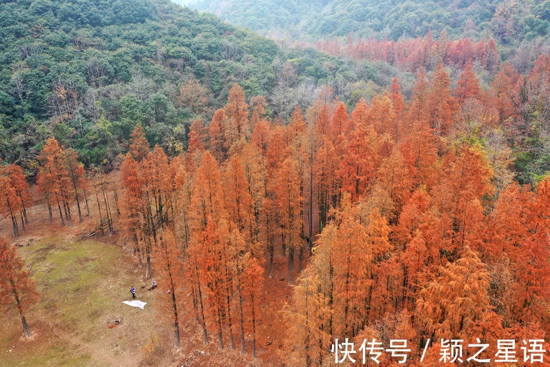 颖之|小众秘境风光,一个个被糟蹋,征集黄金古道有伤风景的照片