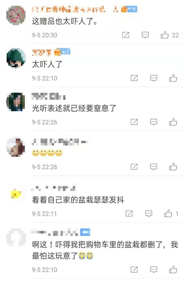 男子|男子网购盆栽后，网友表示：这赠品太吓人了