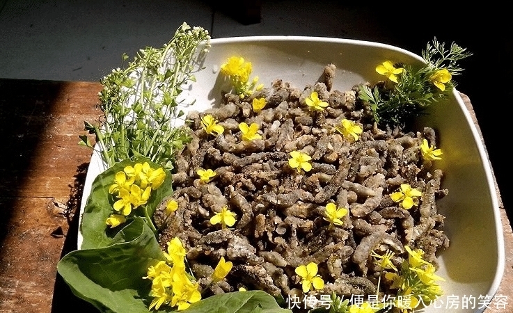 野菜就属它长得丑，却比香椿还鲜嫩，每年就这几天有，别错过了