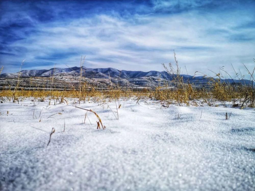 雪中即景作文500字，五年级雪中美景作文