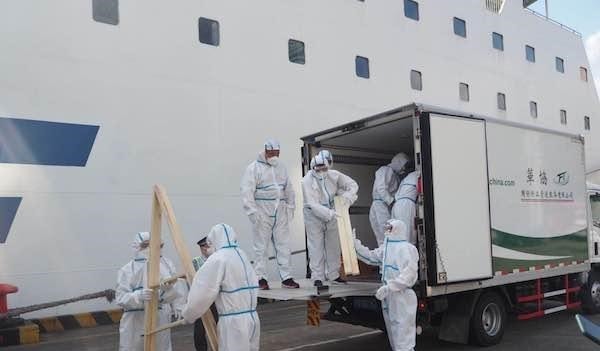 搭乘|因疫情滞留的唐招提寺舍利塔,搭乘了“新鉴真”轮返日