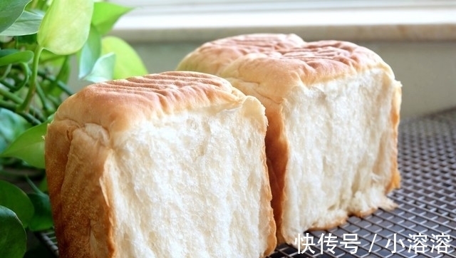 吐司盒|这个面包配方好，牛奶、黄油、鸡蛋全不放，一次发酵，香软又健康