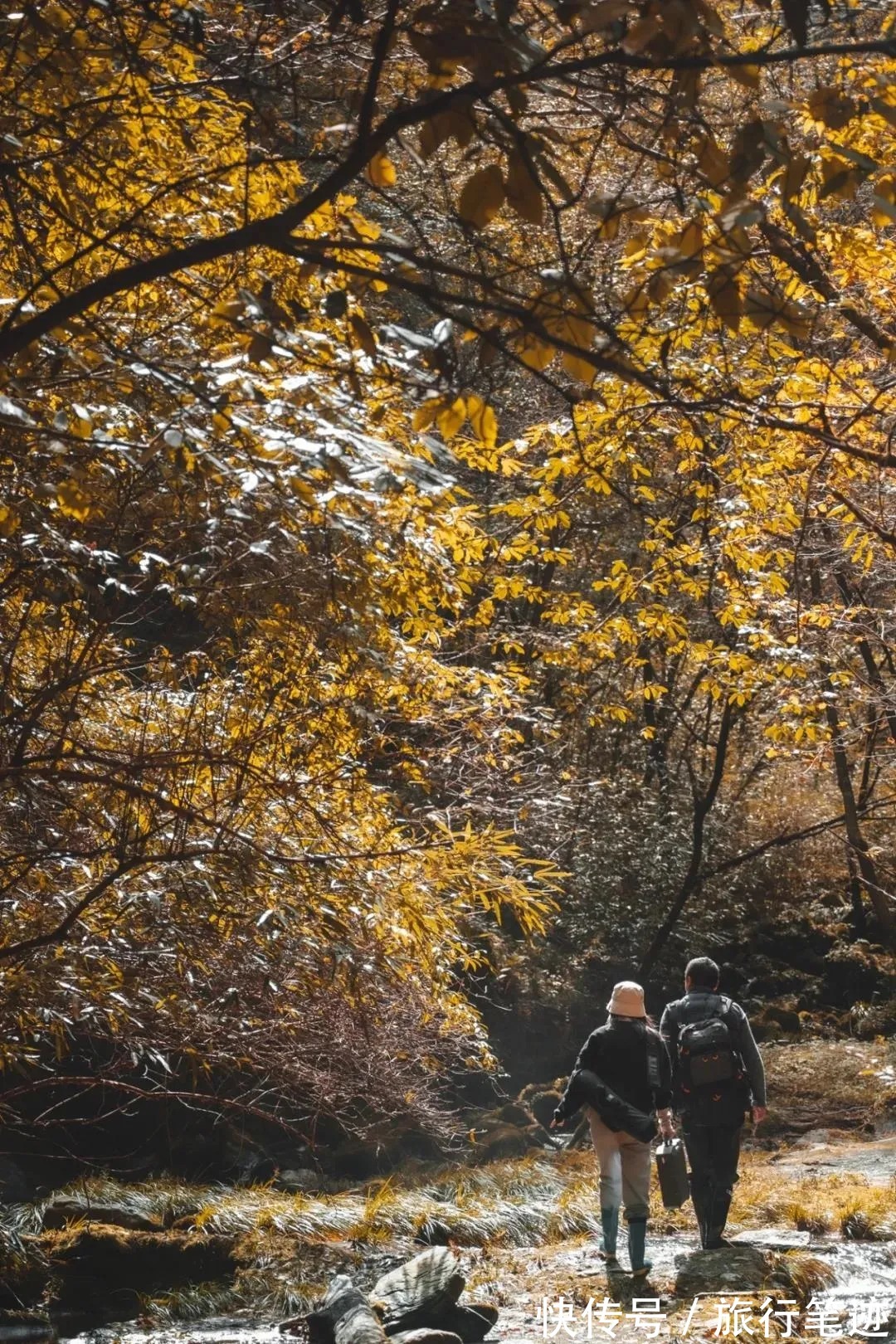 许家山|秘境徒步｜秦岭留坝深处这四条线路，惊艳了整个秋天