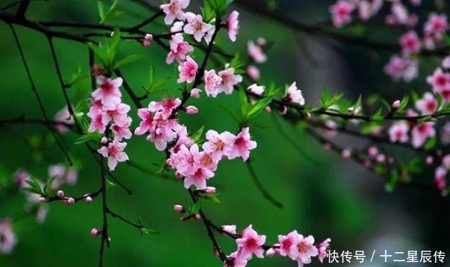 福报|不要羡慕别人有福,只要做到这七项,“福”自然来