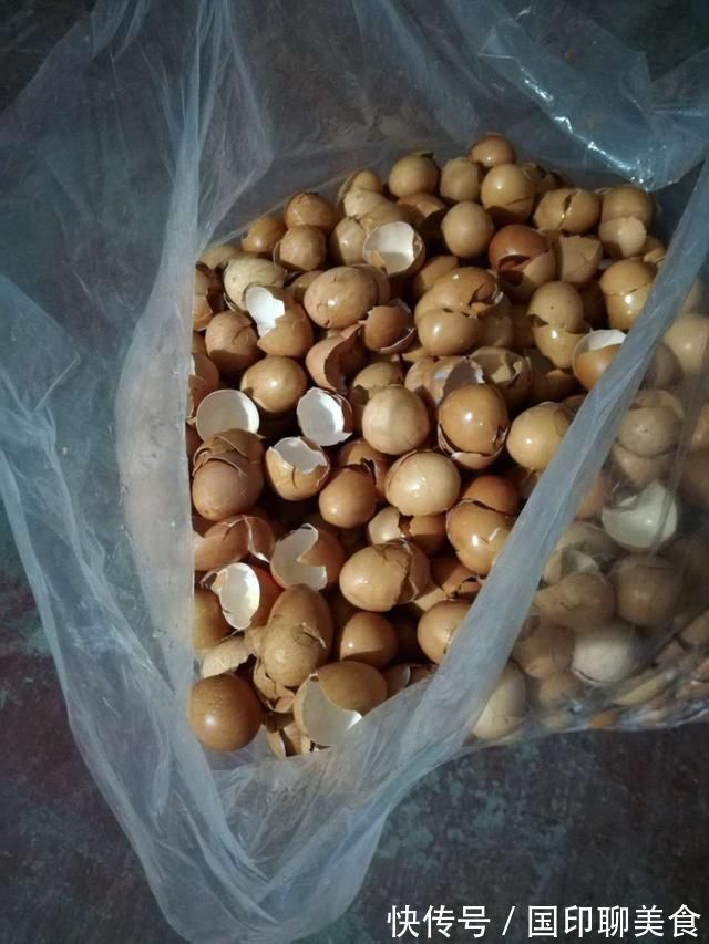 花盆|养花想用“鸡蛋壳”学会2个小技巧,肥效足、不生虫子