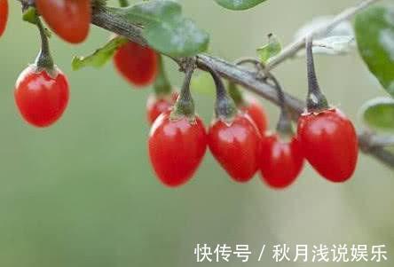 外痔|痔疮反复发作太难受?教你几招,消炎止痛,帮你远离痔疮困扰