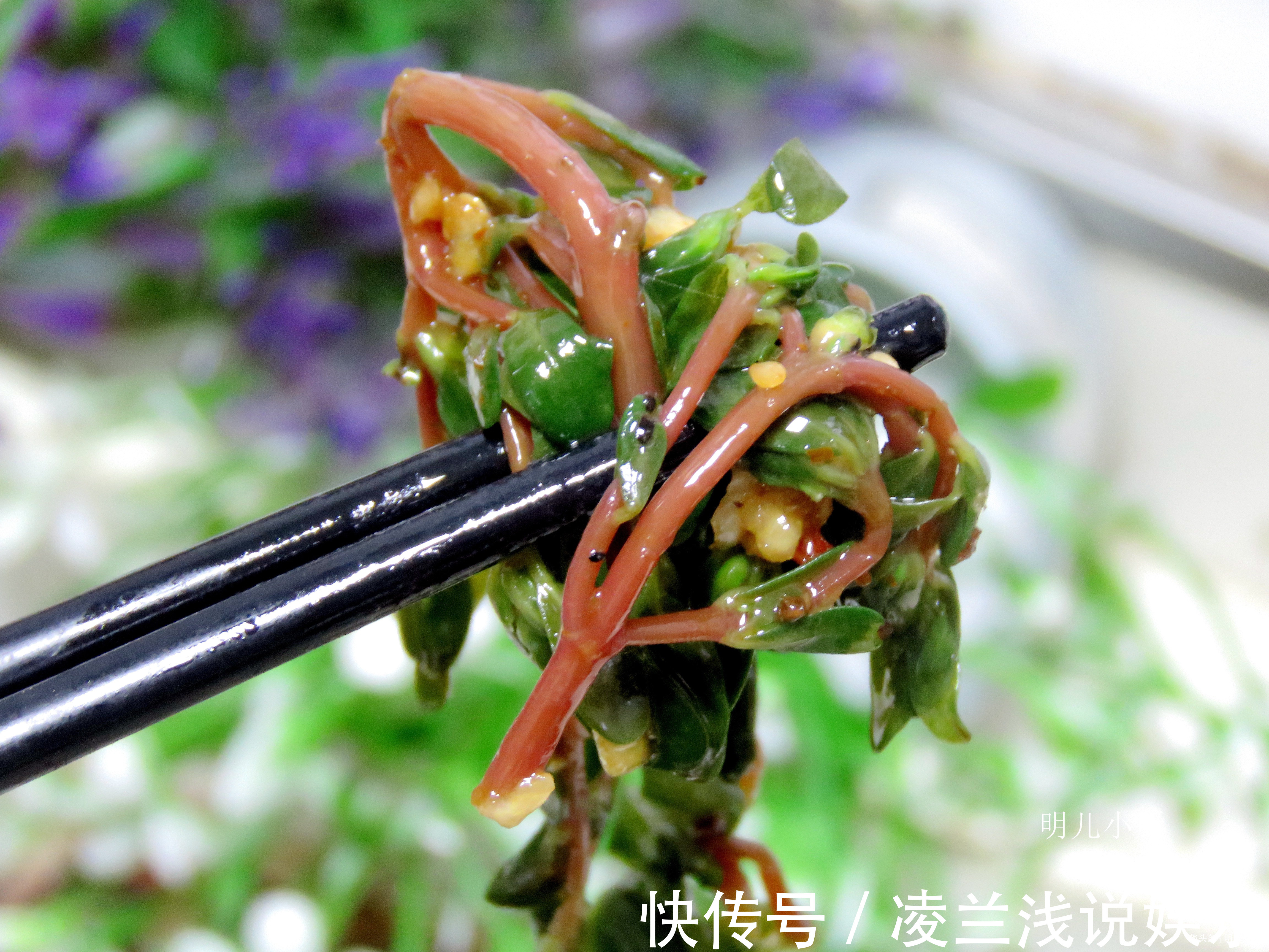 马齿笕|这野菜是“天然消炎药”，夏天遇到别放过，常吃食疗效果就是好