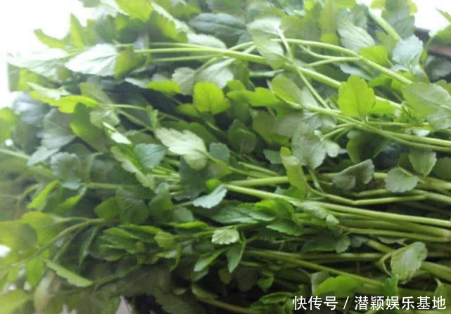 药食两用的传统草药,在国内少有人知,在日本却被人们大力追捧