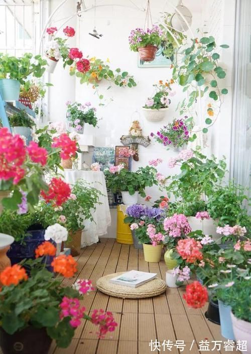 卧室、客厅必养的5种花，甲醛少、空气好，家人身体倍儿健康