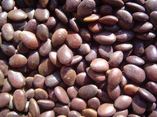 古代|在古代, 人们都是用什么来洗漱的呢 慈禧的洗面奶让人想吐。