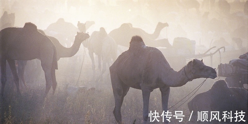 28个冷知识:真实存在于这个世界,全知道的人很少