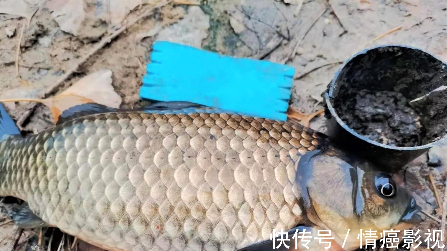 一般钓友钓鱼都有一些“坏习惯”,看看你有哪几条?