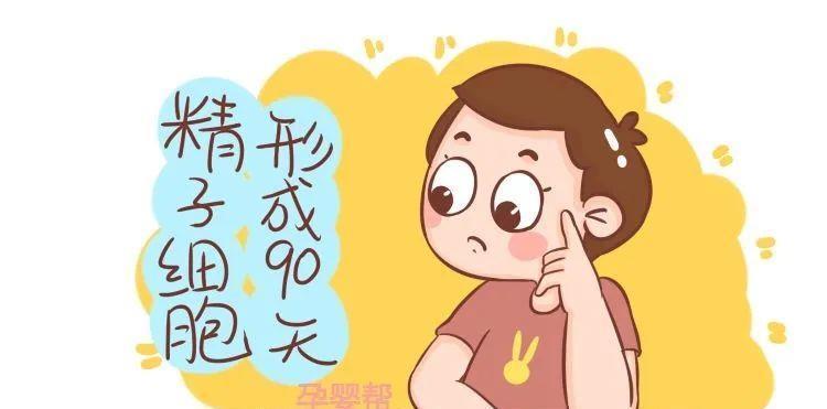 卵细胞|备孕需要3个月时间准备，这是为什么呢？