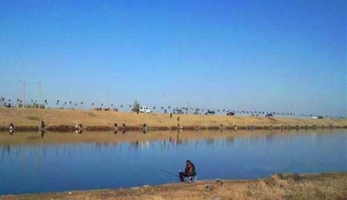 冬季钓鲫鱼，常用这几个老套路，下竿就有口，保你不会空手而归！