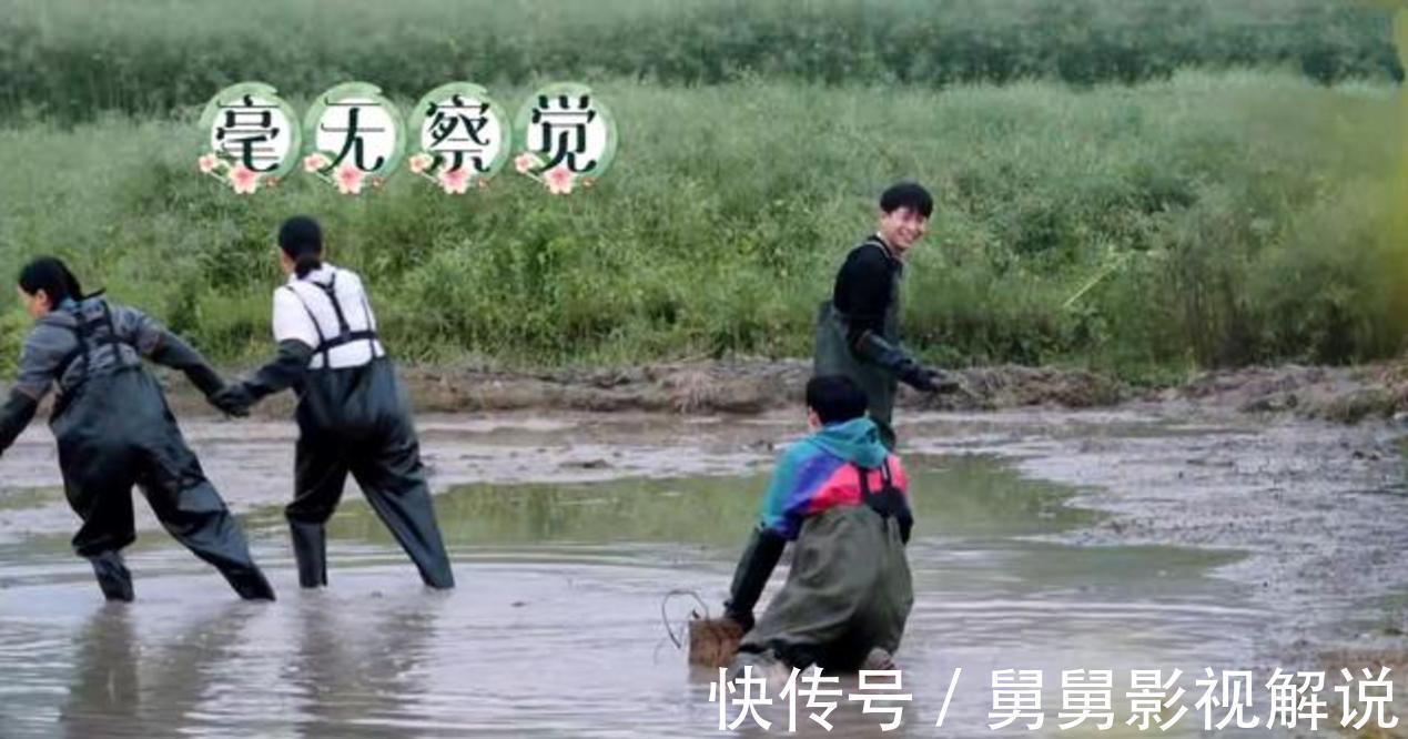 向往的生活5|《向往的生活5》何炅等人抓泥鰍,張藝興害怕,想出妙招應(yīng)對?