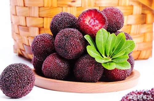 下肢|你以为杨梅只是一种水果,其实它也是一种平复蚯蚓腿的中药!