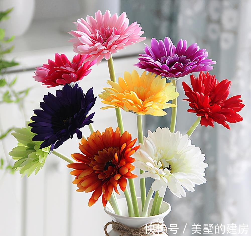 马蹄莲|4种花是婚礼常见花,随便选一种都好看,开了浪漫又唯美