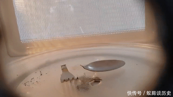 绝不能放进微波炉的10样东西,最后一个太意外