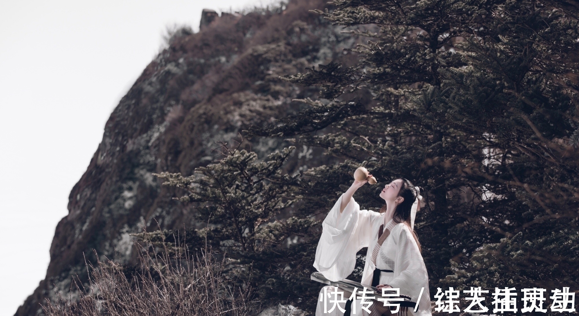 农家小院$王安石的七首绝句,第一首即惊艳,字字精彩有大境界,细读让人醉