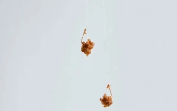 为何饵料会返水?这2大禁忌不可不知,可惜好多钓鱼人一概不知