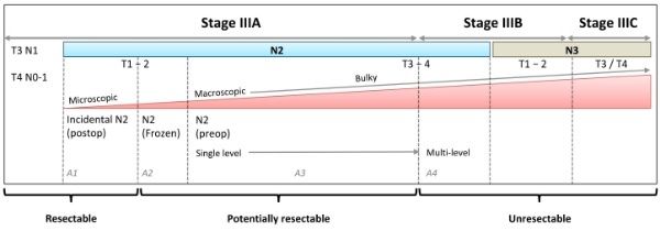 靶向治疗|淋巴结转移的局部晚期肺癌（IIIA-N2期），治疗该如何排兵布阵？