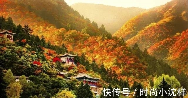 秋景|秋景美如画 榆中兴隆山等您来！