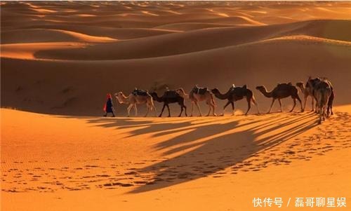 三毛|三毛与荷西的旷世爱情,真如书中那样浪漫?马中欣直言:一场骗局