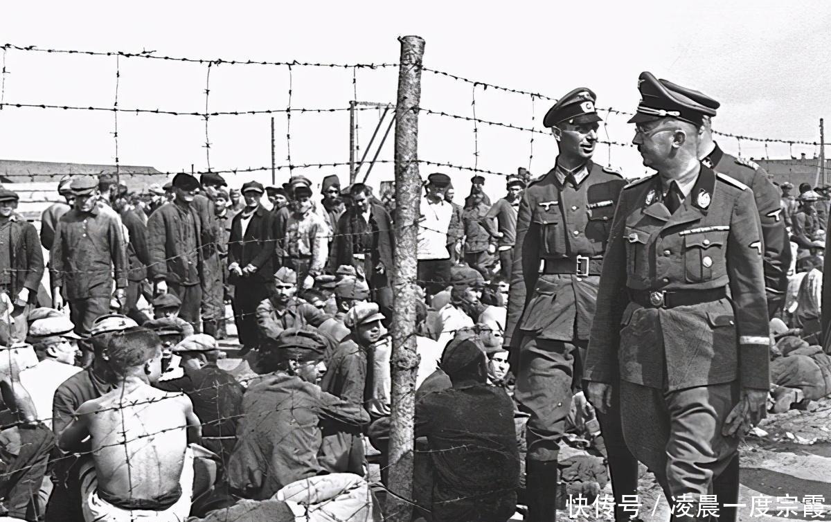 德国|什么样的伤亡能让一支军队崩溃中国和德国做到了战至最后一人