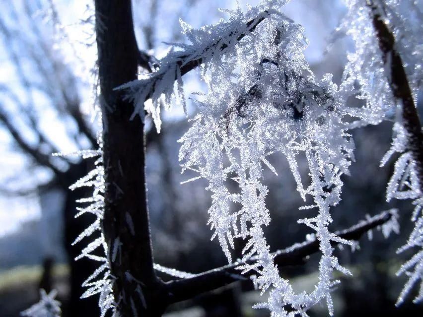 《呼和浩特第一场雪》|听风 | 孛儿只金