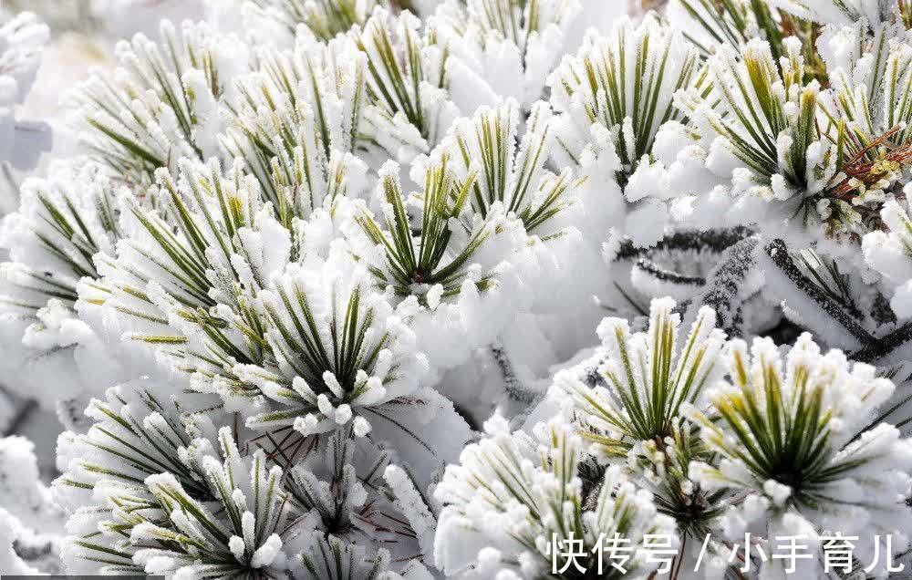 黄山风景区|黄山：宛如琉璃世界