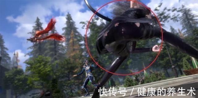 新披风|斗罗大陆戴老大配新披风真帅,朱竹清的皮裤为何缺一块布料!