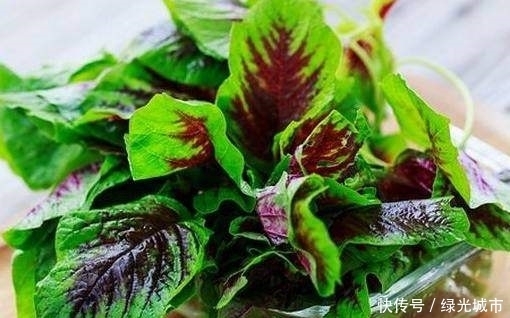防癌|埋没在农村的防癌野菜,补钙比菠菜还厉害10倍,老少皆宜!