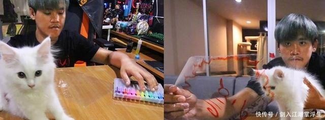 猫眼|泰国小哥最近和猫卯上了,黑猫白猫轮番上,猫眼里都是嫌弃