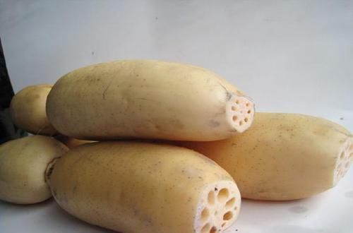 消化吸收|胃有“五怕”,一个不沾最好,牢记三个养胃方,胃越来越好