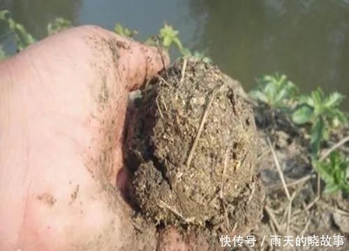 水库、江河的钓鱼技巧,一次性说透彻