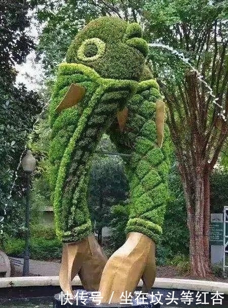 塑造|植物塑造出来的造型简直美炸了,你见过这样的植物吗?
